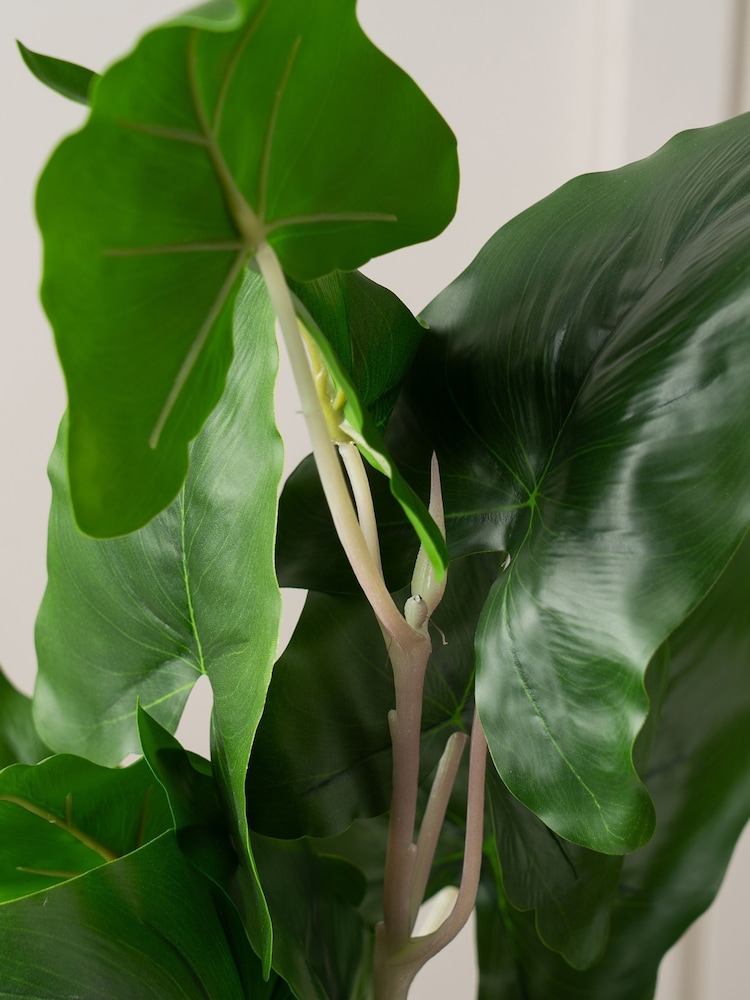 Scottish Everlastings Ltd Green Artificial Typhonium Plant - Image 2 of 3