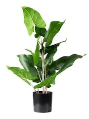 Scottish Everlastings Ltd Green Artificial Typhonium Plant - Image 3 of 3