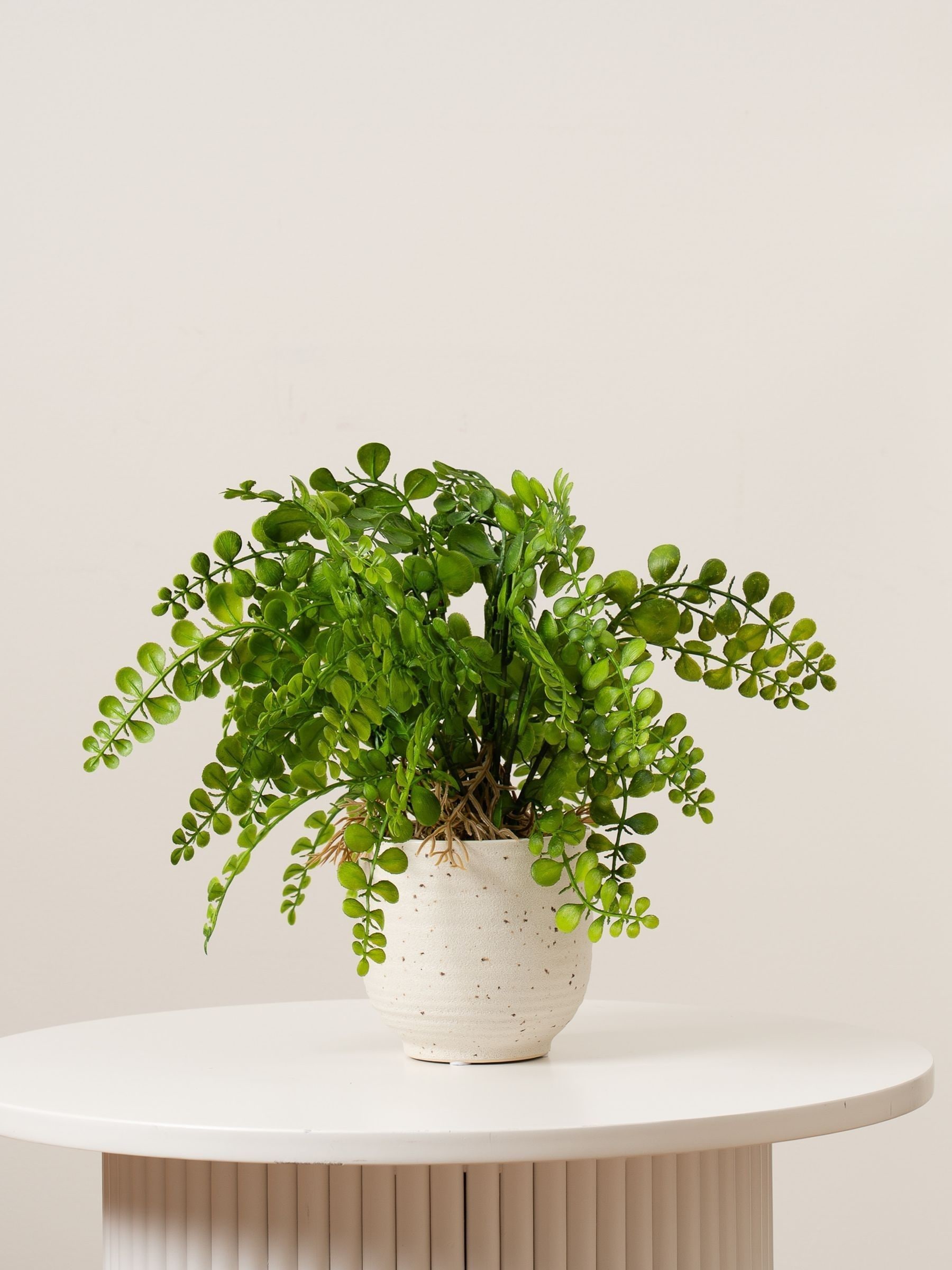 The Very Collection Artificial Fern In Speckled Ceramic Pot - Image 2