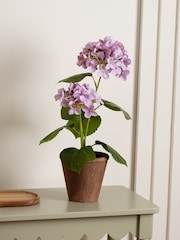 Scottish Everlastings Ltd Lilac Artificial Hydrangea in Rustic Pot - Image 1 of 3