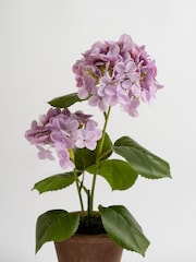 Scottish Everlastings Ltd Lilac Artificial Hydrangea in Rustic Pot - Image 2 of 3
