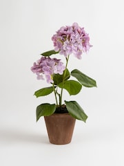 Scottish Everlastings Ltd Lilac Artificial Hydrangea in Rustic Pot - Image 3 of 3