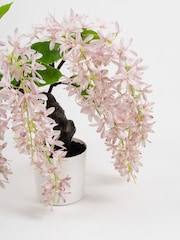 Scottish Everlastings Ltd Pink Artificial Orchid Bonsai in Pot - Image 2 of 3