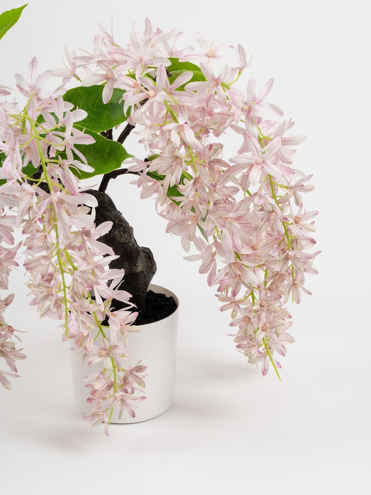 Scottish Everlastings Ltd Pink Artificial Orchid Bonsai in Pot - Image 2 of 3