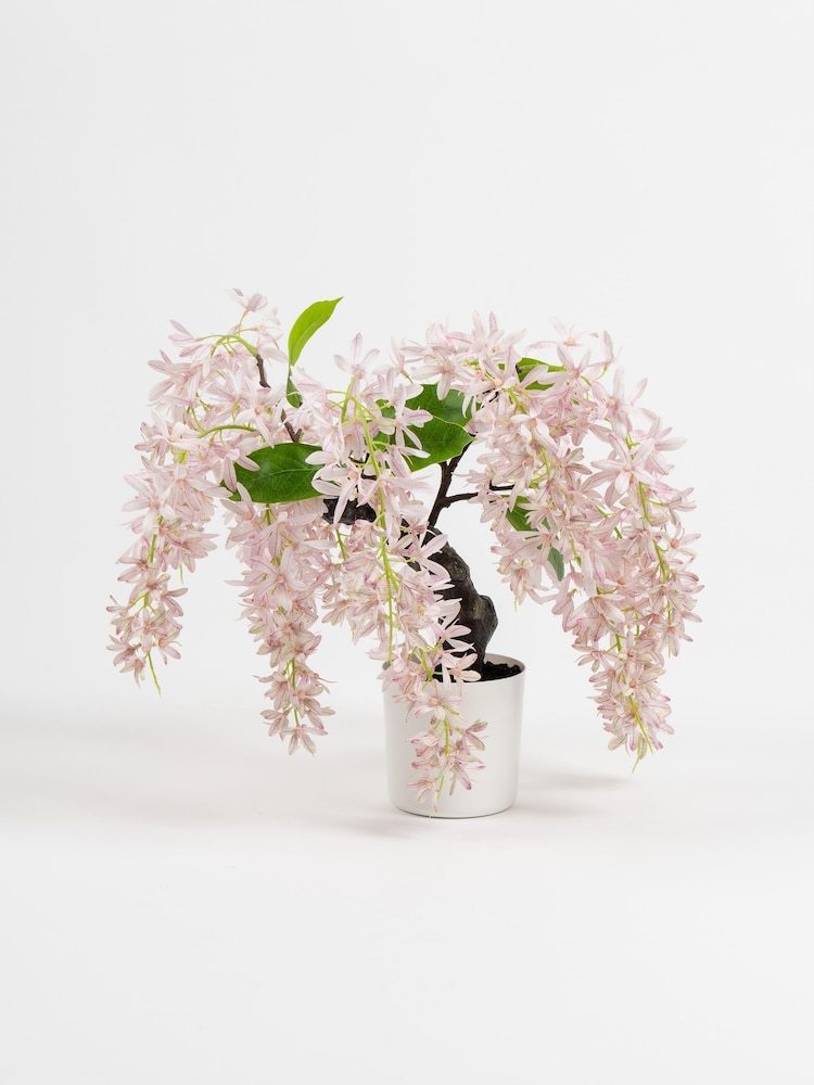 Scottish Everlastings Ltd Pink Artificial Orchid Bonsai in Pot - Image 3 of 3
