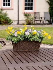 Scottish Everlastings Ltd Multi Mixed Artificial Floral Outdoor Planter - Image 1 of 3