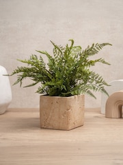 Scottish Everlastings Ltd Green Artificial Fern in Travertine Style Pot - Image 1 of 4