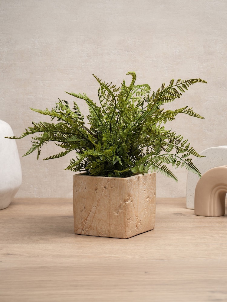 Scottish Everlastings Ltd Green Artificial Fern in Travertine Style Pot - Image 1 of 4