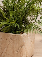 Scottish Everlastings Ltd Green Artificial Fern in Travertine Style Pot - Image 2 of 4
