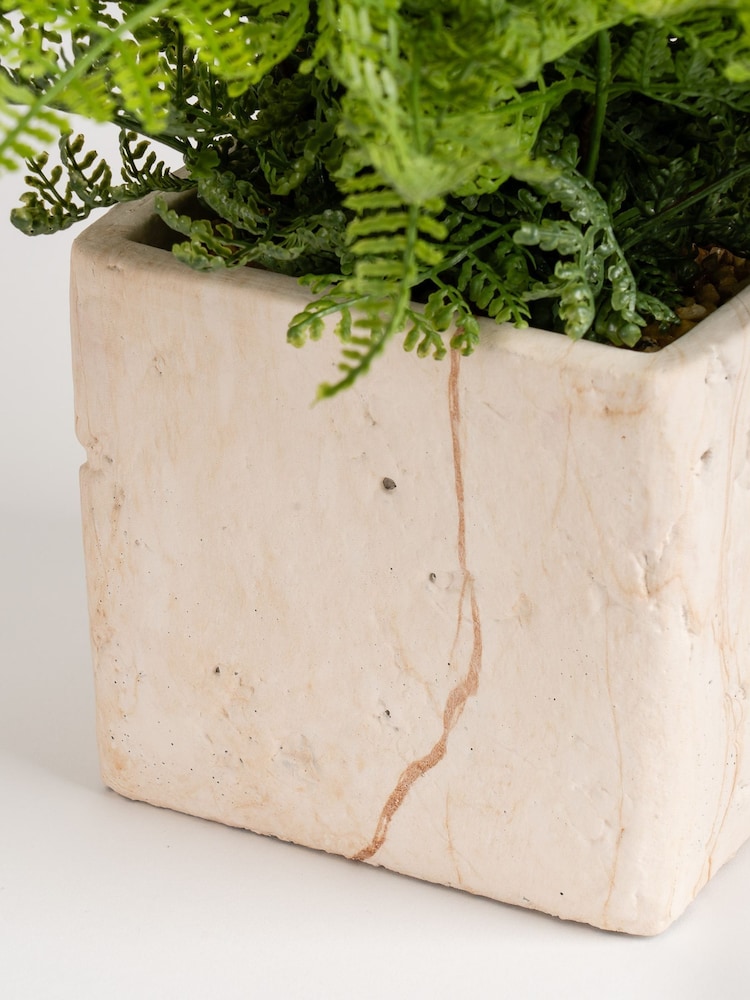 Scottish Everlastings Ltd Green Artificial Fern in Travertine Style Pot - Image 4 of 4