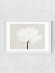 East End Prints White White Bloom Serenity Wall Art Print by 1x Gallery - Image 2 of 2