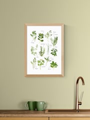 East End Prints Oak All the Herbs Wall Art Print by Natalie Cass - Image 1 of 2