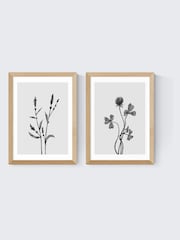 East End Prints Set of 2 Oak Delicate Florals Wall Arts Print by Dan Hobday - Image 2 of 2