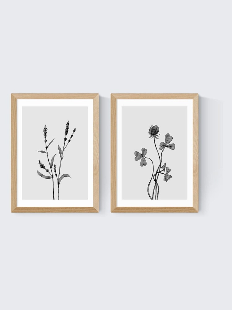 East End Prints Set of 2 Oak Delicate Florals Wall Arts Print by Dan Hobday - Image 2 of 2