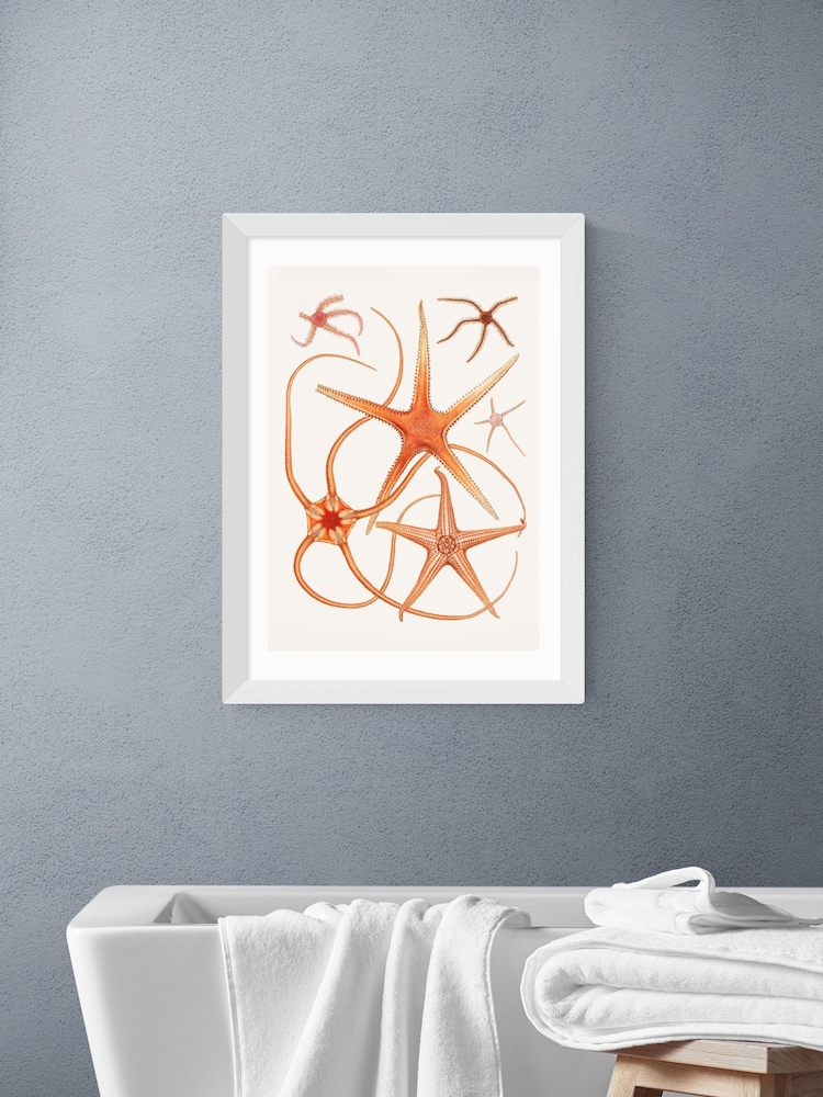 East End Prints White Vintage Starfish 2 Wall Art Print by Oh Fine - Image 1 of 2 East End Prints White Vintage Starfish 2 Wall Art Print by Oh Fine - Image 1 of 2