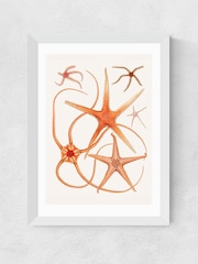 East End Prints White Vintage Starfish 2 Wall Art Print by Oh Fine - Image 2 of 2