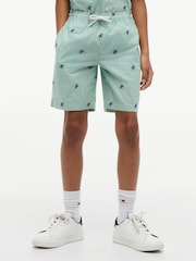 Tommy Hilfiger Green Ithaca Stripe Logo Embroidery Relaxed Shorts - Image 1 of 5