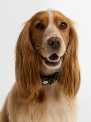 Barbour® Navy Tartan Printed Dog Collar - Image 2 of 3