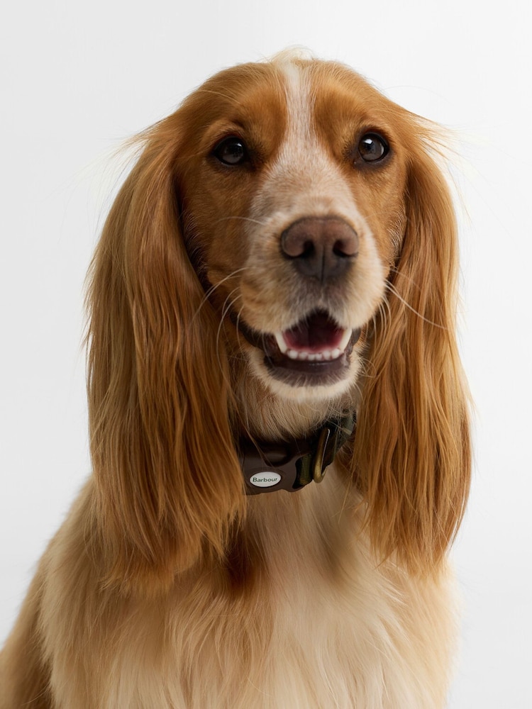 Barbour® Navy Tartan Printed Dog Collar - Image 2 of 3 Barbour® Navy Tartan Printed Dog Collar - Image 2 of 3