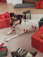Neutral Christmas Hamish The Highland Cow Knitted Pet Jumper - Image 1 of 8