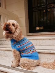 Blue/Multi Fairisle Knitted Pet Jumper with Wool - Image 1 of 9