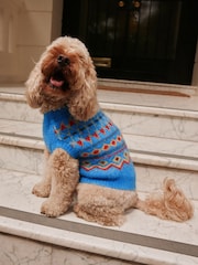 Blue/Multi Fairisle Knitted Pet Jumper with Wool - Image 4 of 9