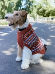 Brown/Multi Fairisle Knitted Pet Jumper with Wool - Image 1 of 3
