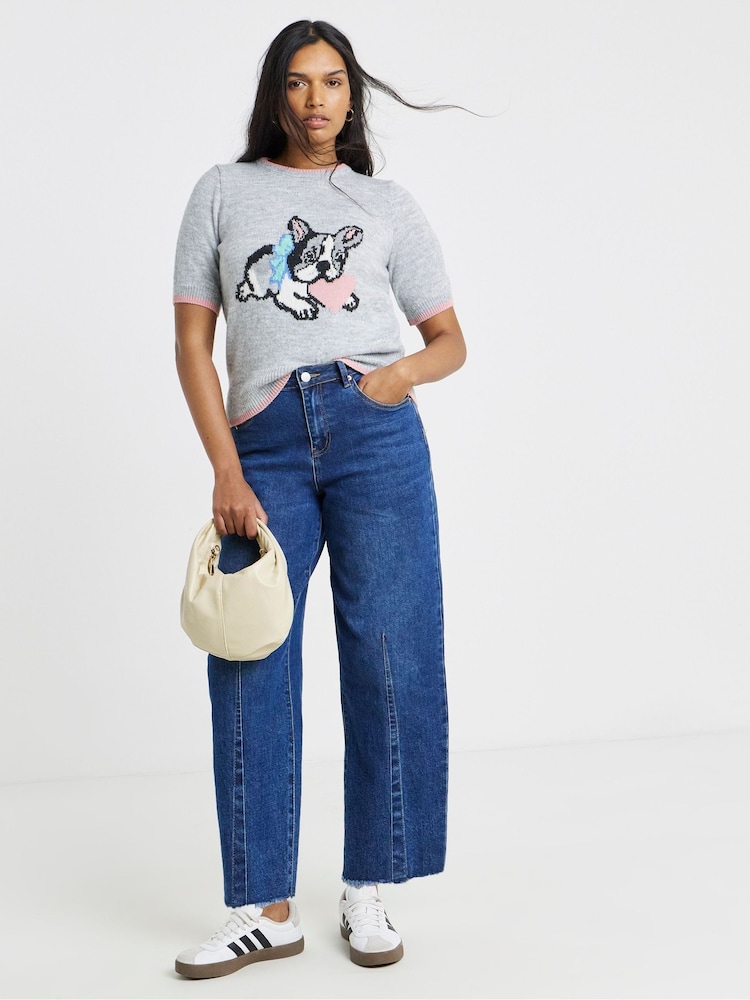 Simply Be Grey Short Sleeve Tipped Pet Pals Jumper - Image 1 of 4