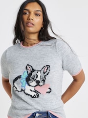 Simply Be Grey Short Sleeve Tipped Pet Pals Jumper - Image 3 of 4