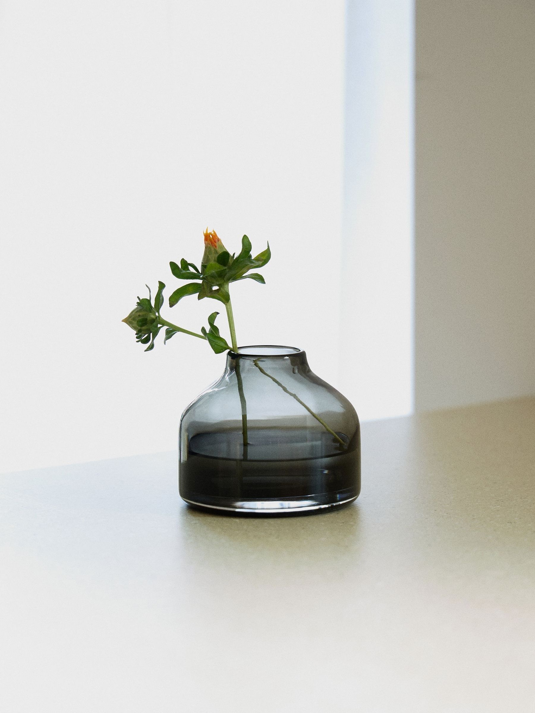 Buy The Conran Shop Smoke Grey Pod Vase 9.5cm from the Next UK
