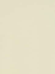 Blend Natural Kaiser Relaxed Crew T-Shirt - Image 8 of 8