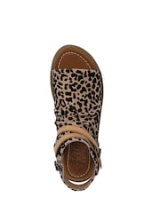 Blowfish Malibu Animal Denver Regular Fit Sandals - Image 6 of 7