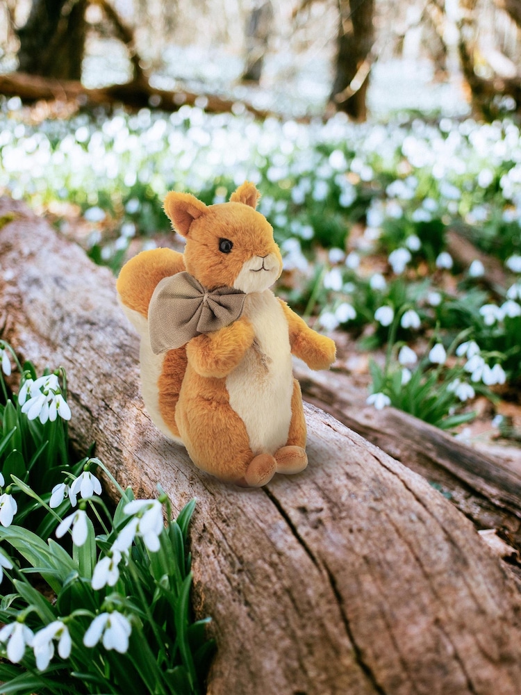 Peter Rabbit Brown Squirrel Nutkin™ Large Plush Toy - Image 2 of 6