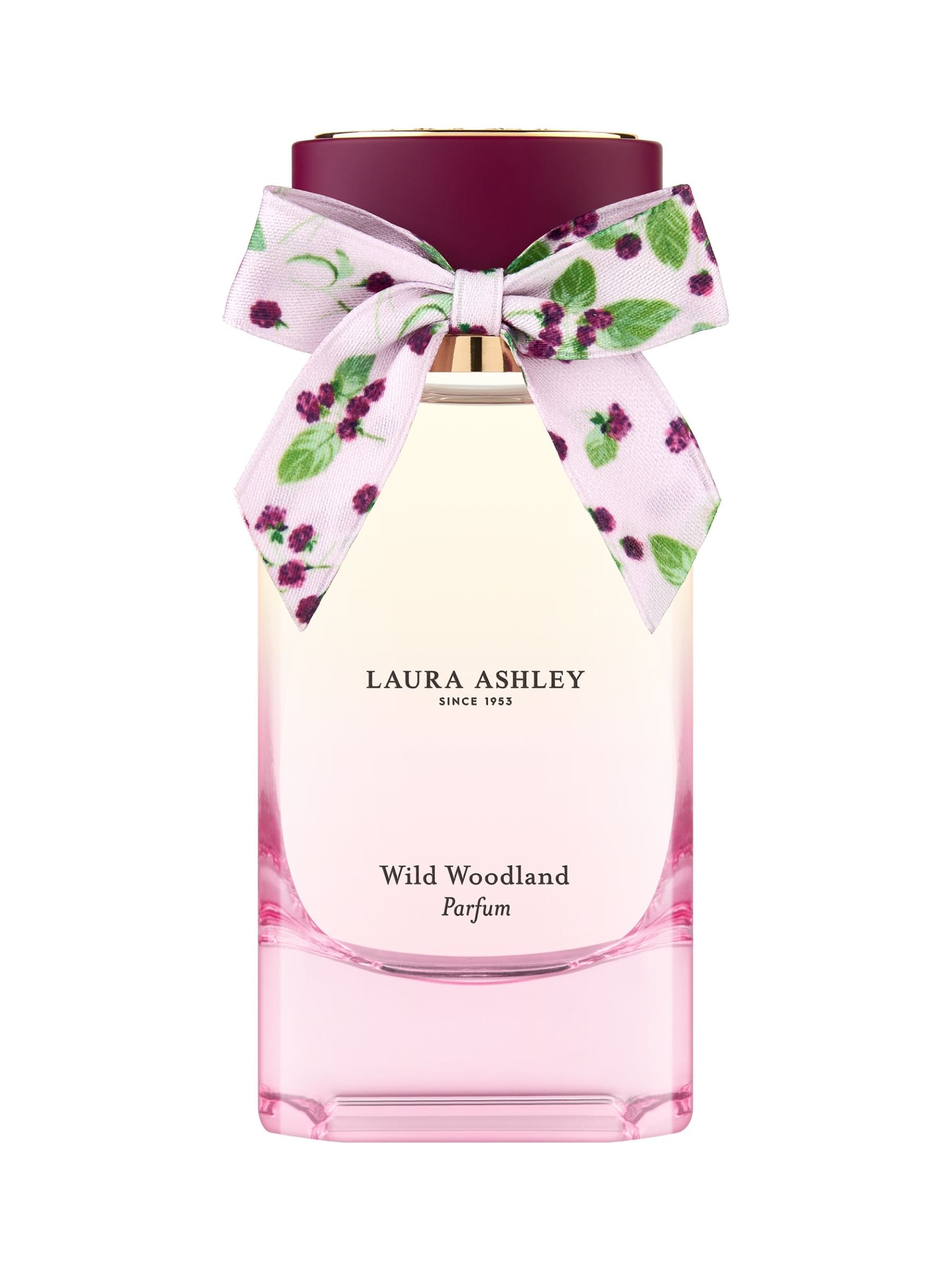 Debenhams Wild Woodland Parfum Spray 100ml - Image 5