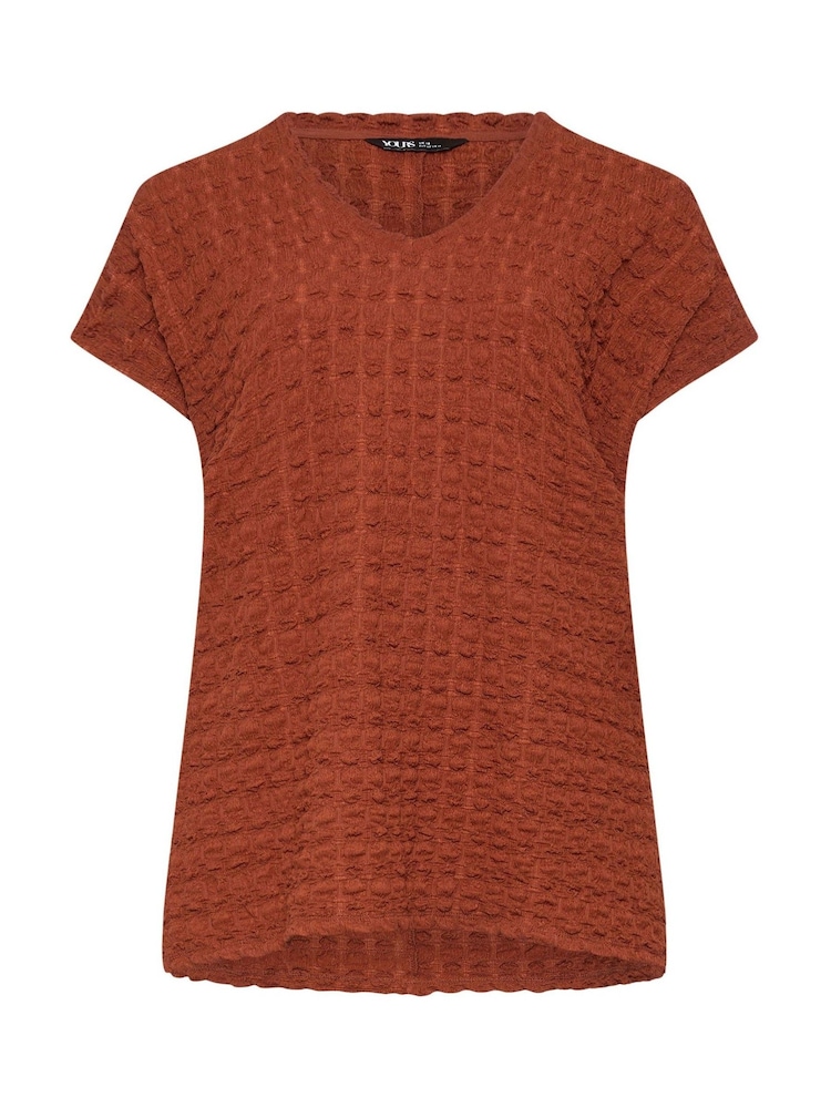 Yours Curve Brown Bubble Textured T-Shirt - Image 5 of 5 Yours Curve Brown Bubble Textured T-Shirt - Image 5 of 5