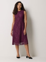 M&Co Lace Skater Dress - Image 1 of 6
