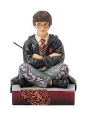 Harry Potter Multicolour The Chosen One (Harry Potter Personality Pose) - Image 1 of 6