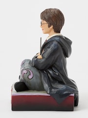 Harry Potter Multicolour The Chosen One (Harry Potter Personality Pose) - Image 4 of 6
