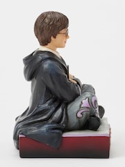Harry Potter Multicolour The Chosen One (Harry Potter Personality Pose) - Image 6 of 6