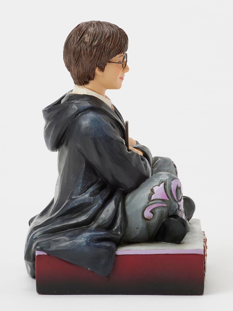 Harry Potter Multicolour The Chosen One (Harry Potter Personality Pose) - Image 6 of 6 Harry Potter Multicolour The Chosen One (Harry Potter Personality Pose) - Image 6 of 6