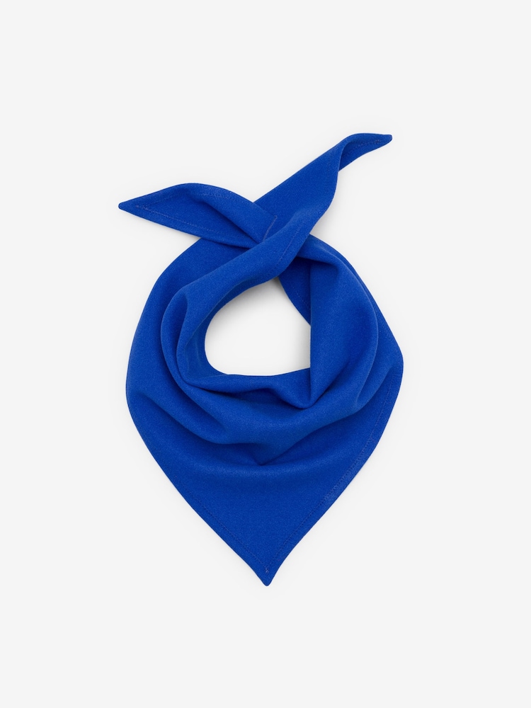 Friends Like These Cobalt Blue Trangle Bandana Scarf - Image 1 of 3