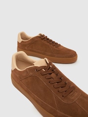 Schuh Brown Winter Suede Trainer - Image 4 of 4