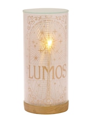 Harry Potter Tube Light Lumos - Image 1 of 4