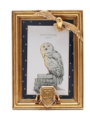 Harry Potter Gold Photo Frame Hedwig - Image 1 of 6