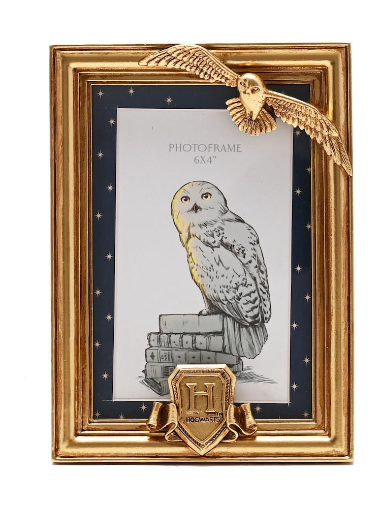 Harry Potter Gold Photo Frame Hedwig - Image 1 of 6