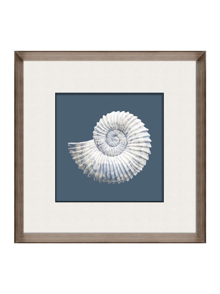 Brookpace Lascelles Blue/White Porcelain Nautilus Shell Wall Art in Deep Frame - Image 1 of 4
