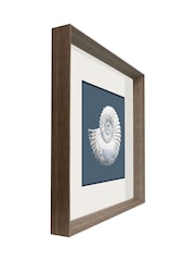 Brookpace Lascelles Blue/White Porcelain Nautilus Shell Wall Art in Deep Frame - Image 3 of 4