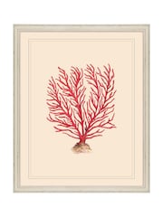 Brookpace Lascelles Red/White Coral V' Coastal Wall Art Frame - Image 1 of 4