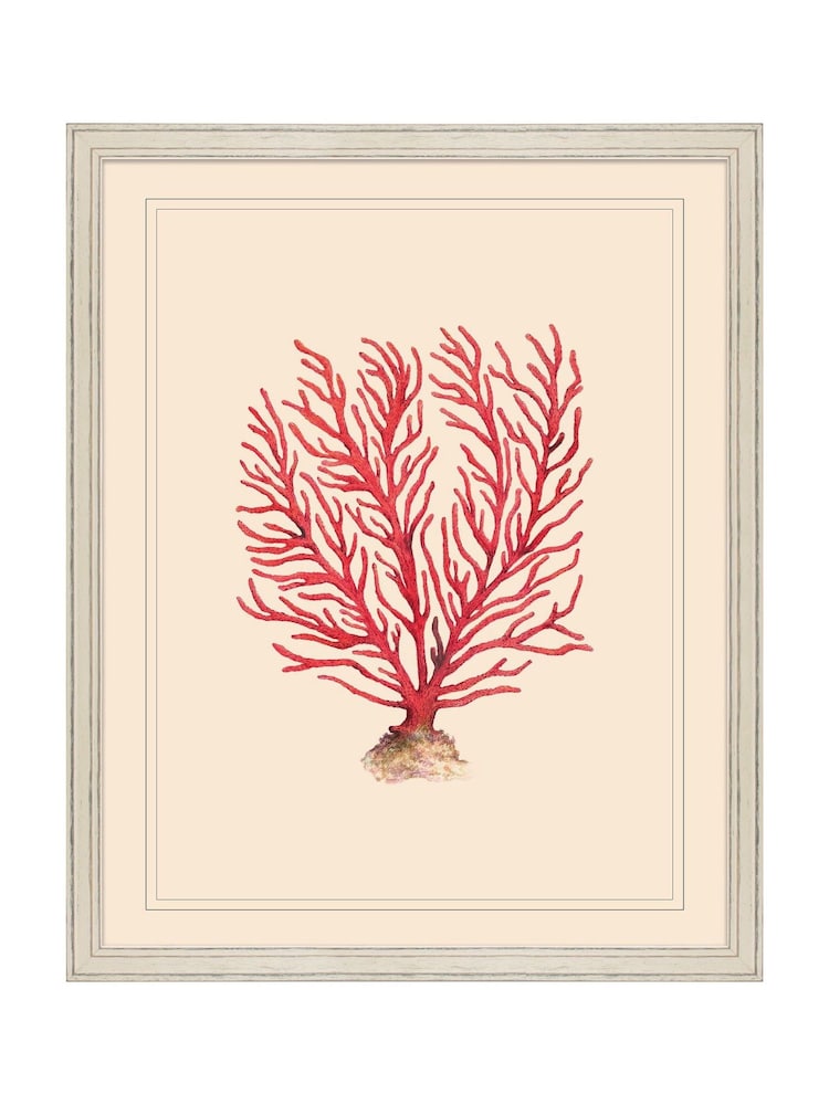 Brookpace Lascelles Red/White Coral V' Coastal Wall Art Frame - Image 1 of 4