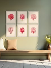 Brookpace Lascelles Red/White Coral V' Coastal Wall Art Frame - Image 2 of 4